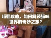 喵翻攻略，如何解鎖貓咪世界的奇妙之旅？