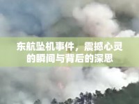 東航墜機(jī)事件，震撼心靈的瞬間與背后的深思