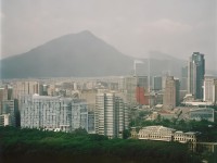 夢(mèng)幻手游中，如何為寵物選擇最佳法術(shù)，打造最強(qiáng)戰(zhàn)斗伙伴？