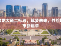 金龍大道二標(biāo)段，筑夢(mèng)未來，共繪城市新篇章