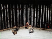 神武2手游雙開職業(yè)，如何打造策略與樂(lè)趣并存的雙重體驗(yàn)？