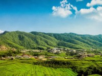 愛丫愛丫，網(wǎng)絡(luò)流行語(yǔ)的文化解讀