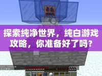 探索純凈世界，純白游戲攻略，你準(zhǔn)備好了嗎？