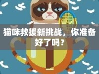 貓咪救援新挑戰(zhàn)，你準(zhǔn)備好了嗎？