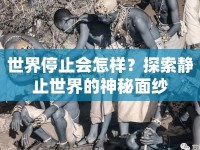 世界停止會(huì)怎樣？探索靜止世界的神秘面紗