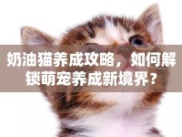 奶油貓養(yǎng)成攻略，如何解鎖萌寵養(yǎng)成新境界？