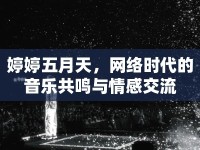 婷婷五月天，網(wǎng)絡(luò)時(shí)代的音樂(lè)共鳴與情感交流