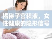 揭秘子宮積液，女性健康的隱形信號與稀薄之謎