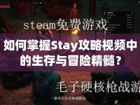 如何掌握Stay攻略視頻中的生存與冒險(xiǎn)精髓？