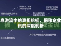 信息洪流中的真相航標(biāo)，揭秘企業(yè)資訊的深度剖析