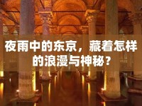 夜雨中的東京，藏著怎樣的浪漫與神秘？