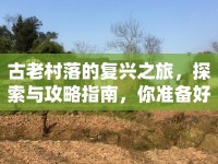 古老村落的復(fù)興之旅，探索與攻略指南，你準(zhǔn)備好了嗎？