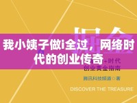 我小姨子做i全過，網絡時代的創(chuàng)業(yè)傳奇
