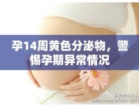 孕14周黃色分泌物，警惕孕期異常情況