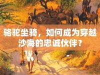 駱駝坐騎，如何成為穿越沙海的忠誠(chéng)伙伴？