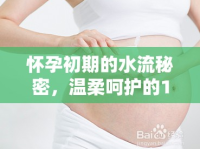 懷孕初期的水流秘密，溫柔呵護(hù)的10天之旅