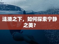 漣漪之下，如何探索寧靜之美？