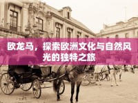 歐龍馬，探索歐洲文化與自然風(fēng)光的獨特之旅
