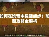如何在饑荒中穩(wěn)健起步？前期攻略全解析