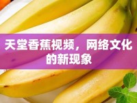 天堂香蕉視頻，網(wǎng)絡(luò)文化的新現(xiàn)象