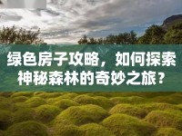 綠色房子攻略，如何探索神秘森林的奇妙之旅？