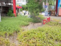 封易市背后的秘密，倩女手游如何交織虛擬與現(xiàn)實？