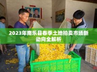 2023年南樂縣春季土地拍賣市場新動(dòng)向全解析
