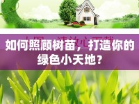 如何照顧樹苗，打造你的綠色小天地？