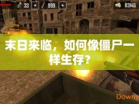 末日來臨，如何像僵尸一樣生存？