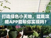 打造綠色小天地，盆栽攻略APP能幫你實(shí)現(xiàn)嗎？