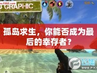 孤島求生，你能否成為最后的幸存者？