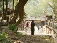 夢(mèng)想世界手游，孩子技能如何探索與培養(yǎng)？