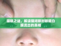 貓眼之謎，解讀貓閉眼時眼睛白膜流出的真相