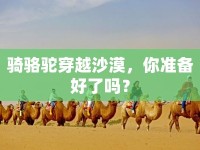騎駱駝穿越沙漠，你準(zhǔn)備好了嗎？