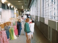 如何駕馭酒神之力，成為陰陽(yáng)冕手游的終極玩家？
