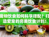 寵物飲食如何科學(xué)搭配？打造愛寵的完美飲食計(jì)劃！
