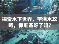探索水下世界，學(xué)潛水攻略，你準(zhǔn)備好了嗎？