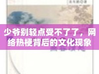 少爺別輕點受不了了，網絡熱梗背后的文化現(xiàn)象