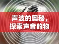 聲波的奧秘，探索聲音的物理與感知