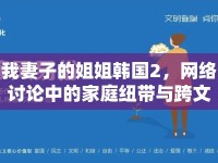 我妻子的姐姐韓國2，網(wǎng)絡(luò)討論中的家庭紐帶與跨文化交流