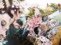 仙境傳說手游，騎士鳥為何擁有自由之翼？