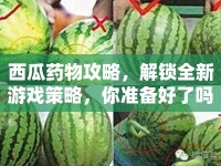 西瓜藥物攻略，解鎖全新游戲策略，你準(zhǔn)備好了嗎？