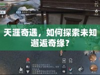 天涯奇遇，如何探索未知邂逅奇緣？