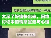 太深了好痛快出來(lái)，網(wǎng)絡(luò)討論中的情感宣泄與心理釋放