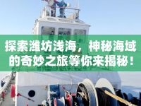 探索濰坊淺海，神秘海域的奇妙之旅等你來揭秘！