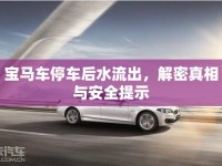 寶馬車停車后水流出，解密真相與安全提示