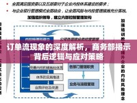 訂單流現(xiàn)象的深度解析，商務(wù)部揭示背后邏輯與應(yīng)對策略