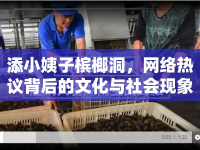 添小姨子檳榔洞，網(wǎng)絡熱議背后的文化與社會現(xiàn)象