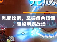 亂菊攻略，掌握角色精髓，輕松制霸戰(zhàn)場(chǎng)