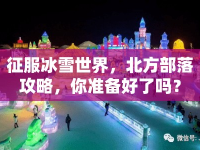 征服冰雪世界，北方部落攻略，你準備好了嗎？
